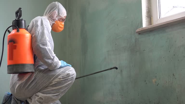 Best Biohazard Mold Removal  in Harriman, TN